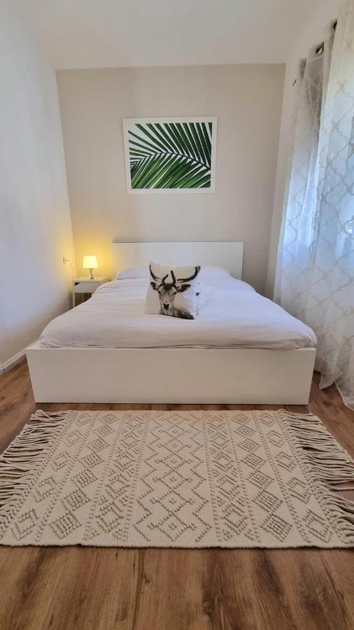 Villa Gal Эйлат Экстерьер фото